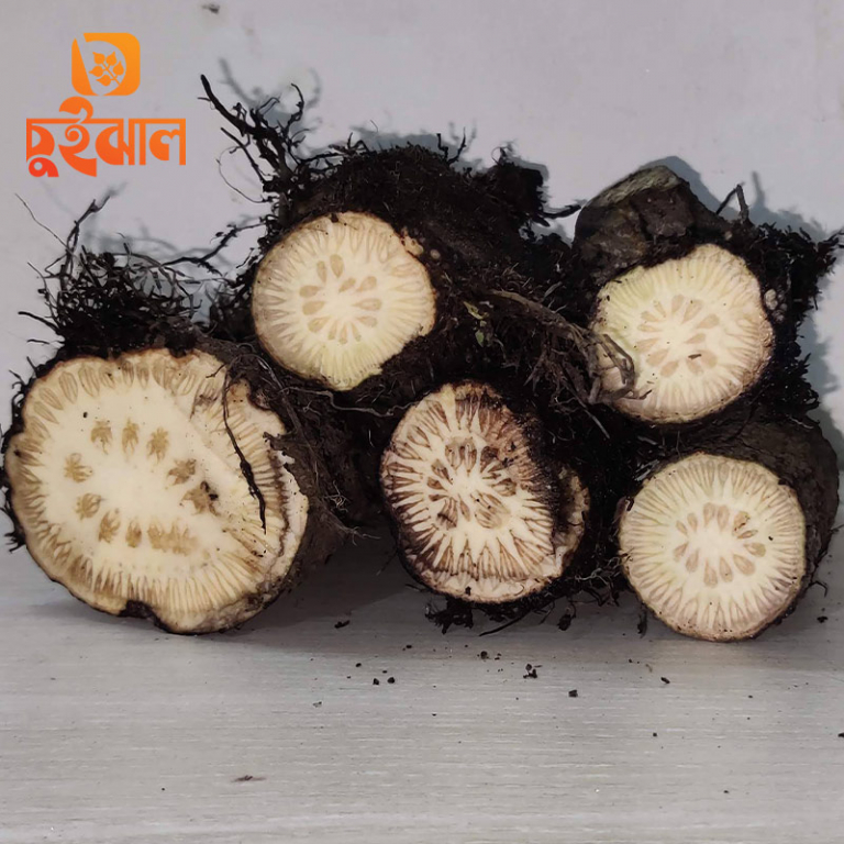 চুইঝাল কি
