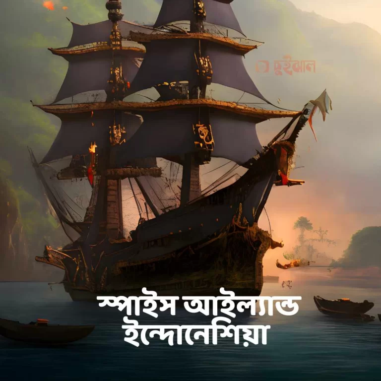 জয়ফলের উৎপত্তি এবং রক্তপাতের ইতিহাস!